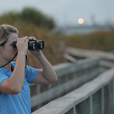 Port Aransas Birding