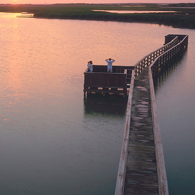 Port Aransas Birding Refuge