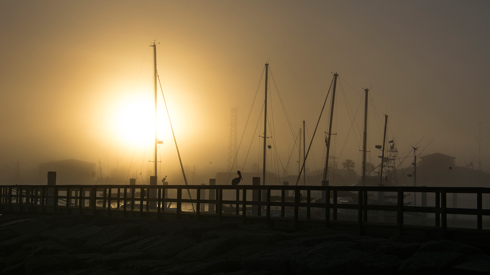 Port Aranasas Marina at Sunset